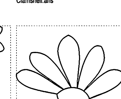 Cornflower 1