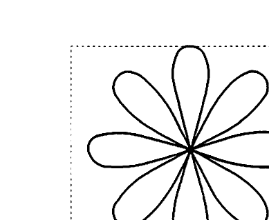 Daisy Border Continuous