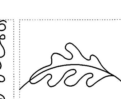 Oak Leaf