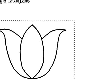 Tulip Border